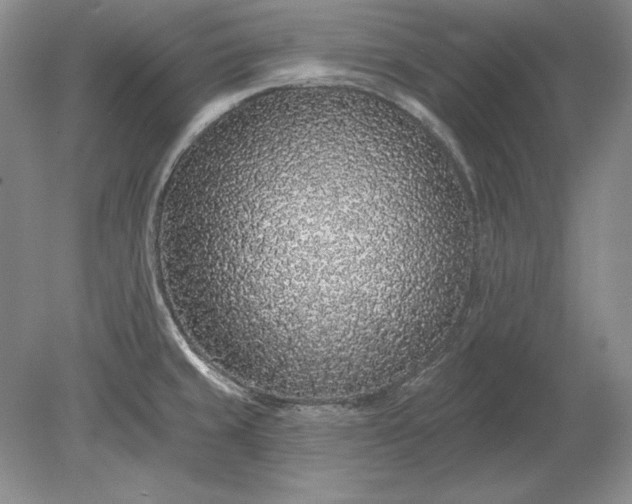 X0000079291429200612011712