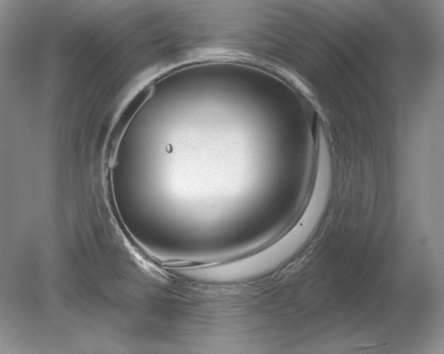 X0000079291430200612011712