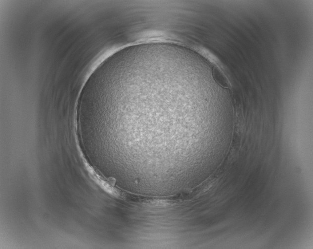 X0000079291431200612011712