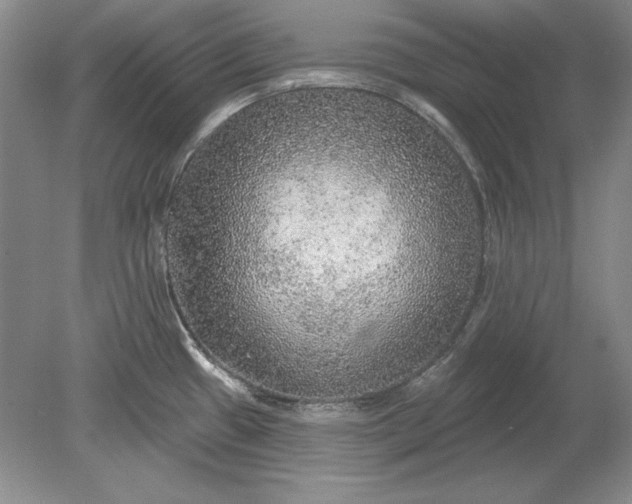X0000079291433200612011712