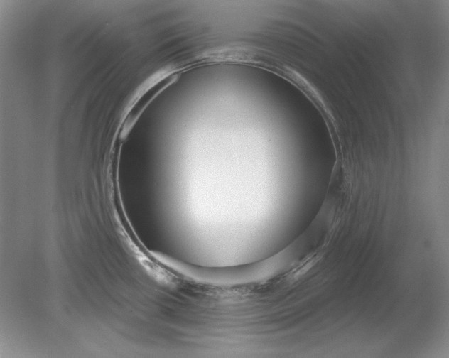 X0000079291434200612011712