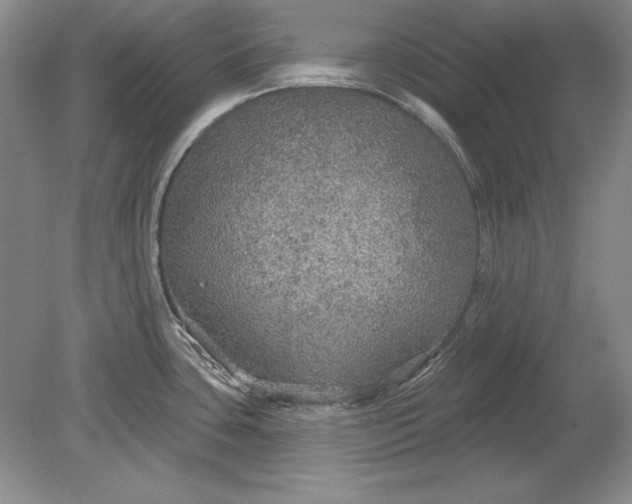 X0000079291435200612011712
