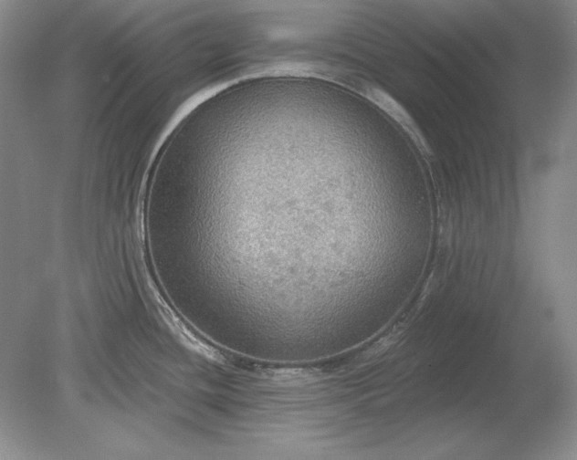 X0000079291436200612011712