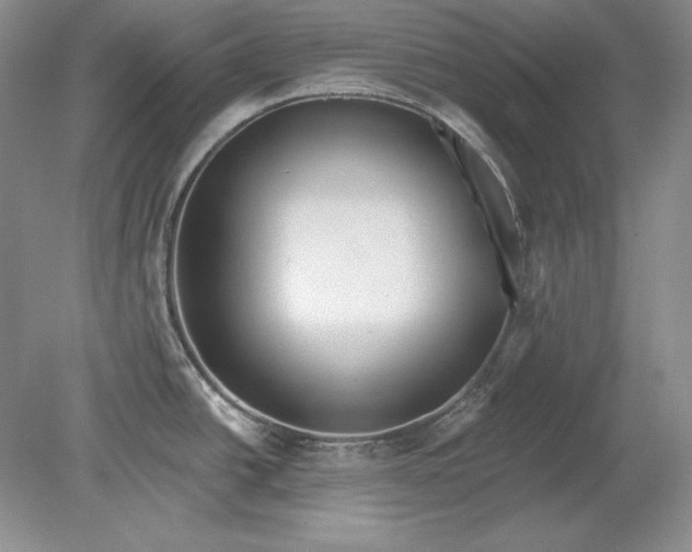 X0000079291438200612011712