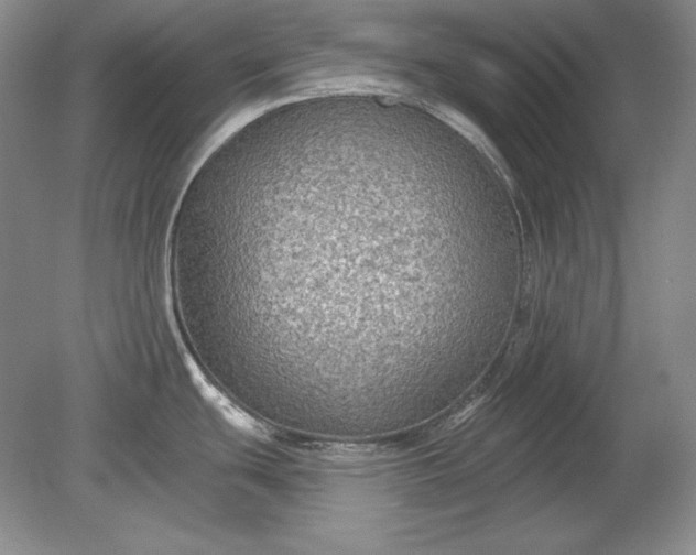 X0000079291439200612011712