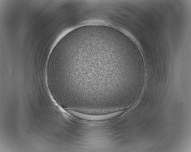 X0000079291440200612011712