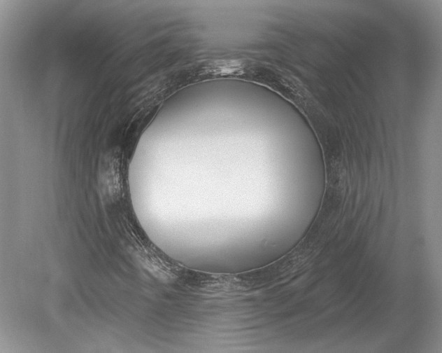 X0000079291442200612011712