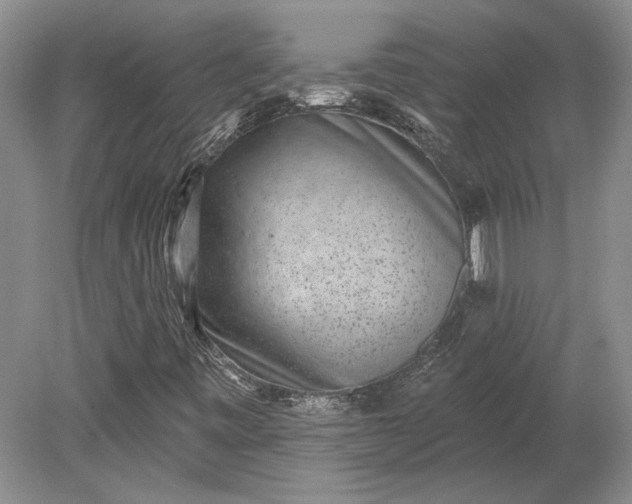X0000079291443200612011712