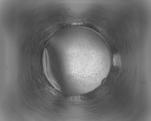 X0000079291444200612011712