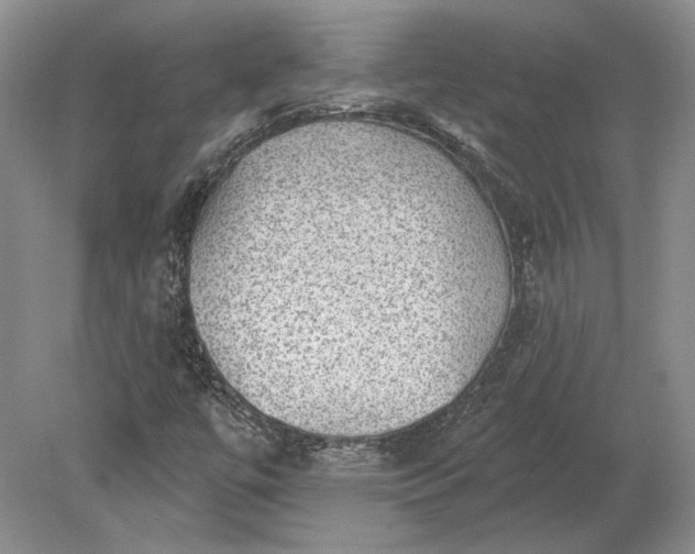 X0000079291447200612011712