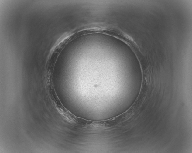 X0000079291448200612011712