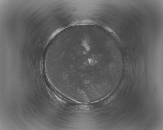 X0000079291457200612011711