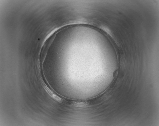 X0000079291460200612011711