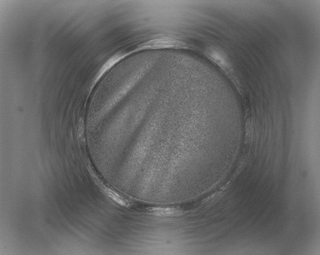 X0000079291465200612011711