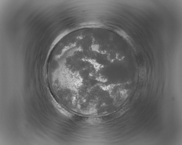 X0000079291466200612011711
