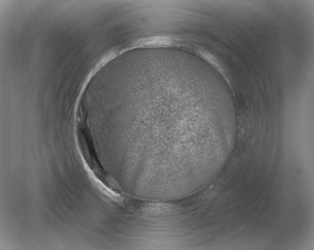 X0000079291475200612011711