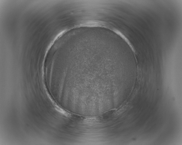 X0000079291477200612011711