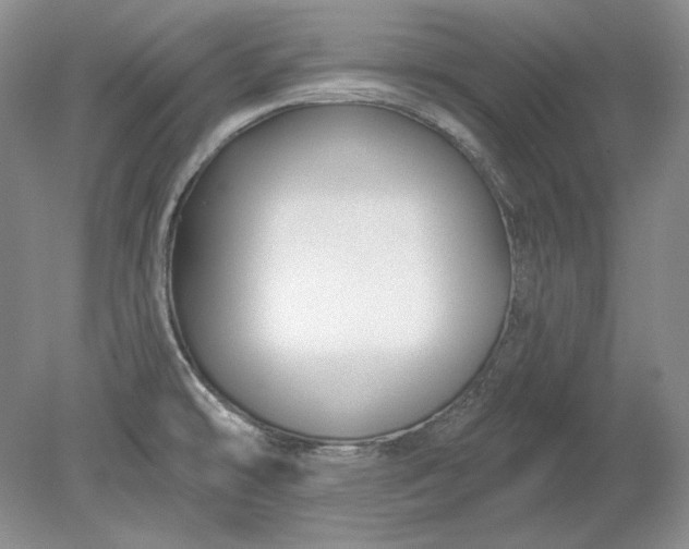 X0000079291478200612011711