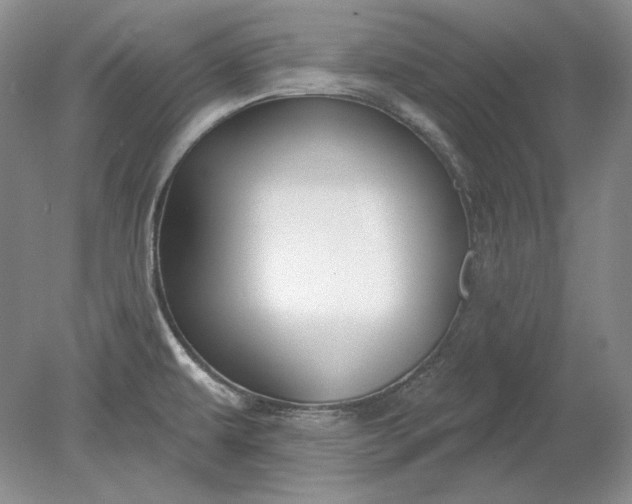X0000079291479200612011711