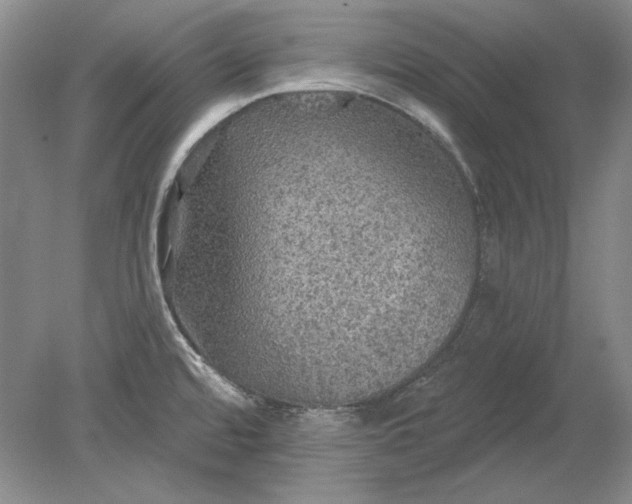 X0000079291480200612011711