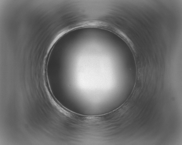 X0000079291483200612011711