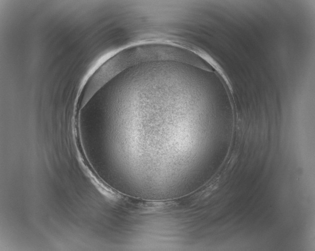 X0000079291485200612011711