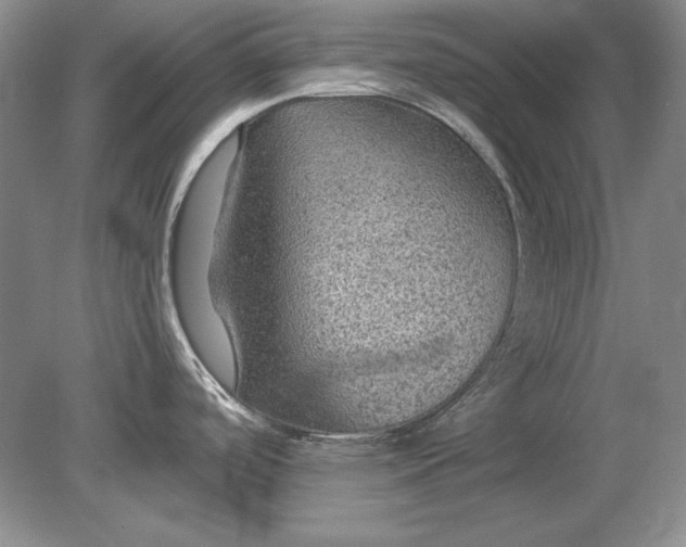 X0000079291488200612011711