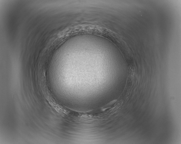 X0000079291489200612011710