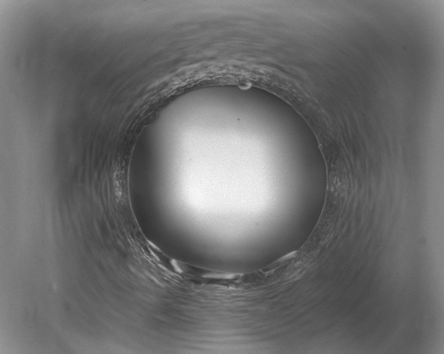 X0000079291490200612011710