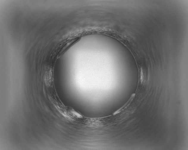 X0000079291492200612011710
