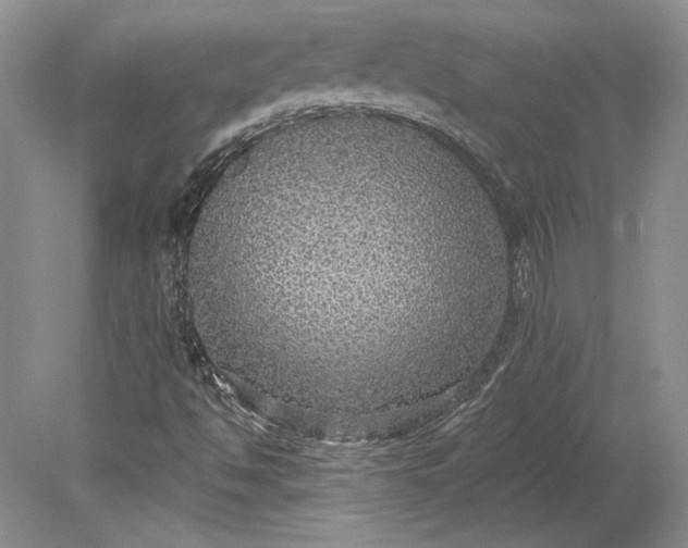 X0000079291494200612011710
