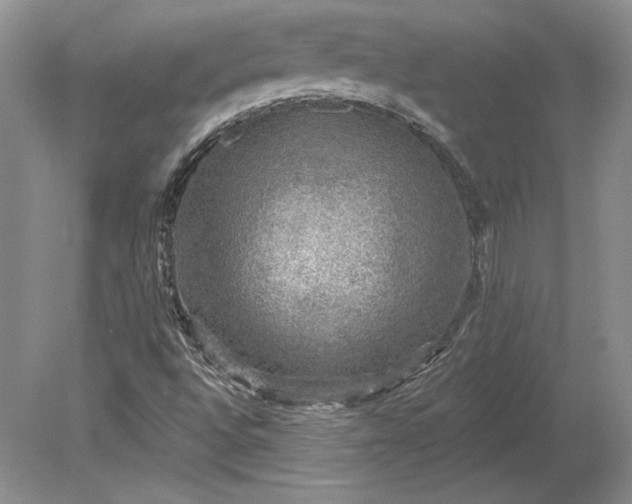 X0000079291496200612011710