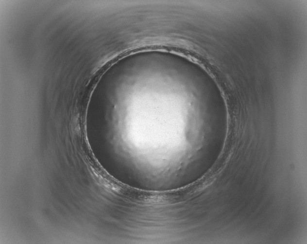 X0000079291497200612011710