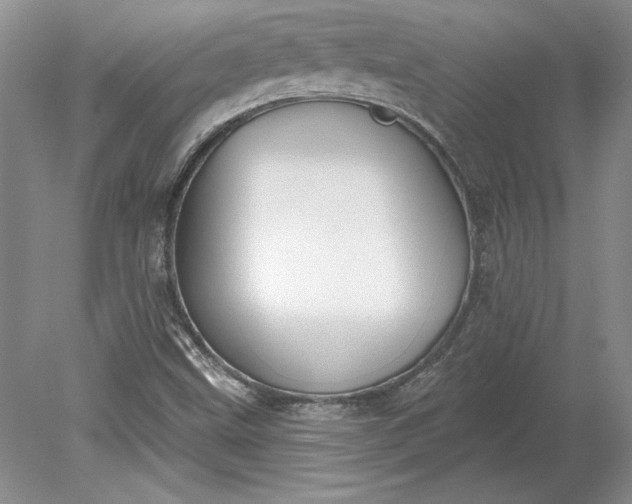 X0000079291499200612011710
