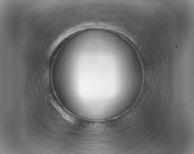 X0000079291503200612011710