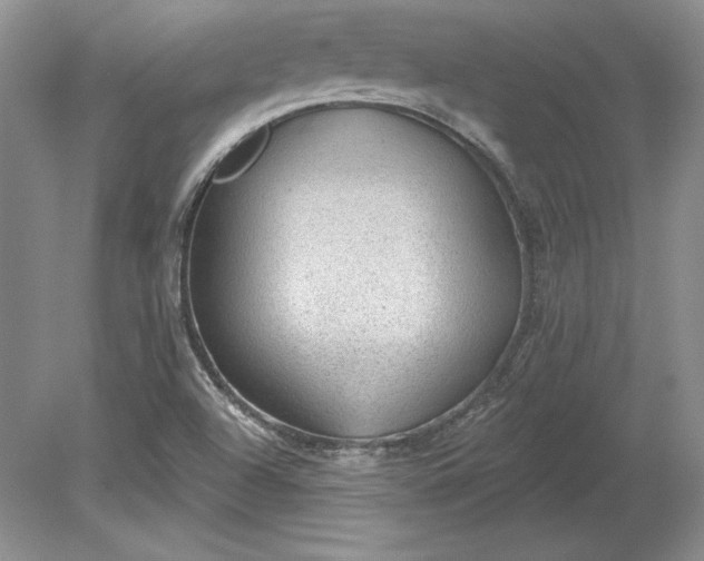 X0000079291504200612011710