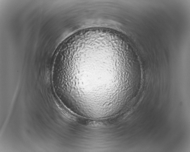 X0000079291505200612011710