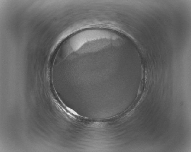 X0000079291506200612011710