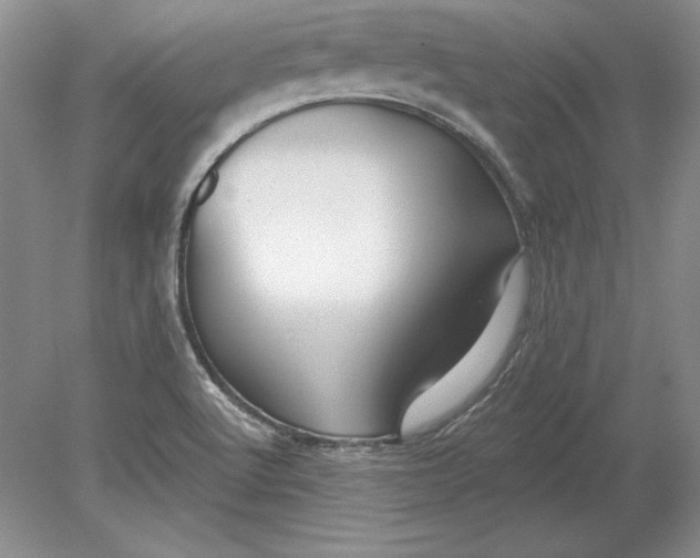 X0000079291512200612011710