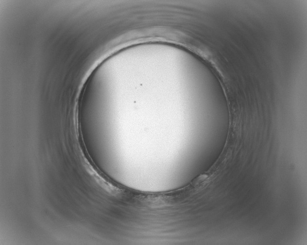 X0000079291516200612011710