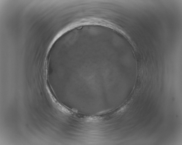 X0000079291522200612011711