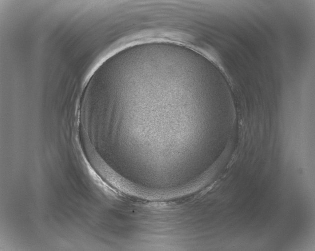 X0000079291524200612011711