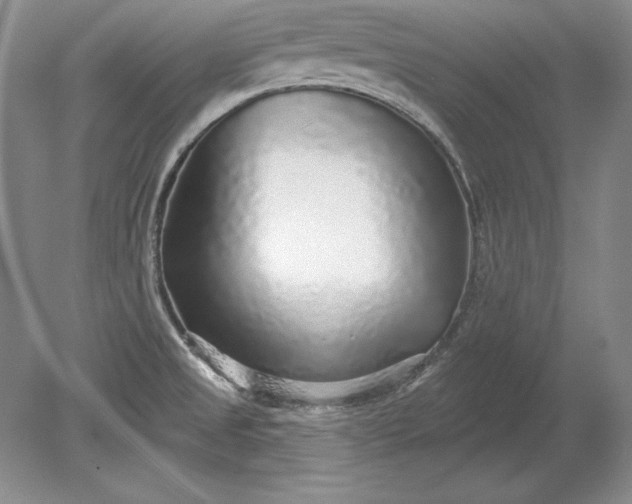 X0000079291525200612011711