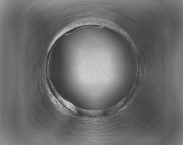 X0000079291530200612011711