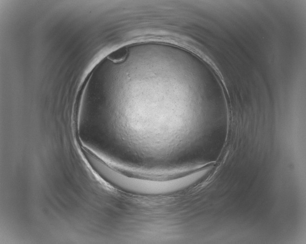 X0000079291533200612011711