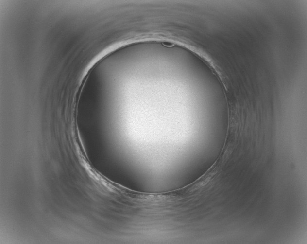 X0000079291534200612011711
