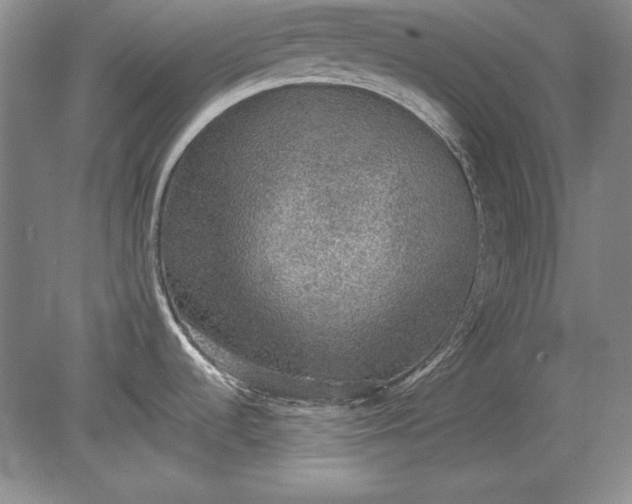 X0000079291536200612011711