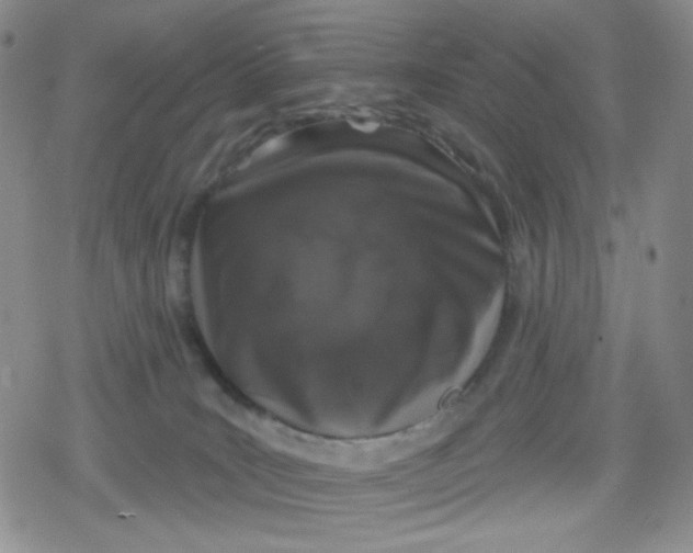 X0000079290035200612081830