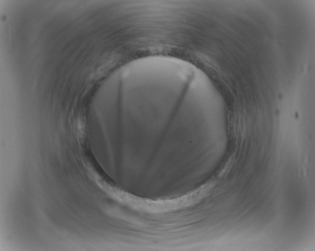 X0000079290039200612081830