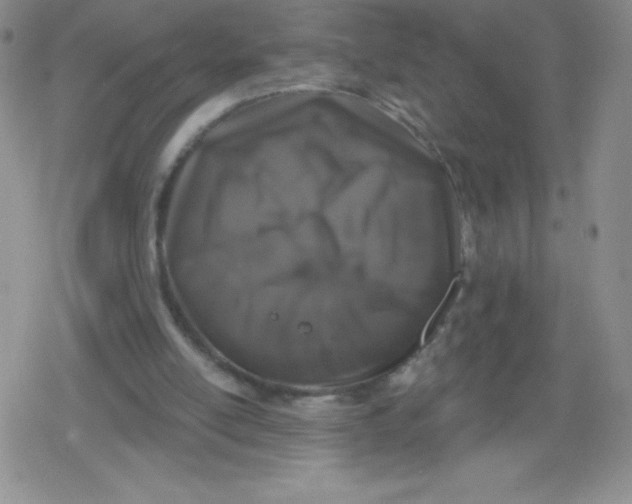 X0000079290054200612081829
